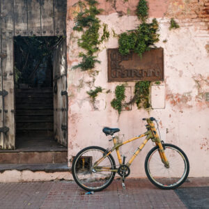Bike rentals for cruising through Palermo  - Buenos Aires