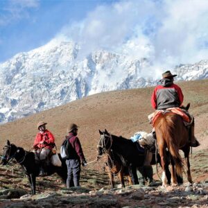 Horseback riding through the Andes with BBQ lunch - Mendoza