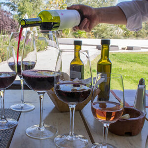 Picnic lunch with wine at a vineyard - Mendoza