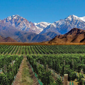 Full-day wine tour in the Uco Valley - Mendoza